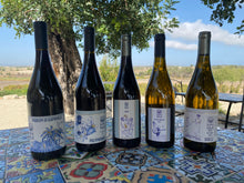 將圖片載入圖庫檢視器 【13度】White Wine - Balanced Moscato 白酒【五星級系列 #4】- 750ml "Canzoncin"