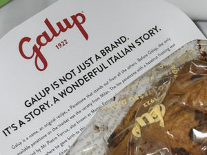 Panettone 聖誕麵包蛋糕【開心果 朱古力味】750g +150g 開心果醬 Pistachio