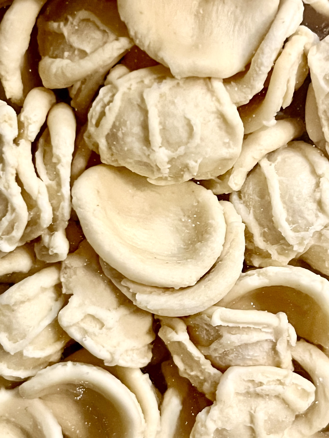 【短】Organic Orecchiette S.C. | 有機