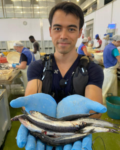 🐟 Marinated Anchovy 酒醋醃 西西里鯷魚柳 - 60g [超特價offer，因過了best before。素質仍然好好]