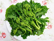將圖片載入圖庫檢視器 Cime di Rape | 油浸南意”蕪菁” - 190g ☘️
