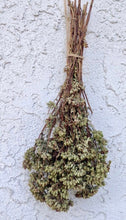 將圖片載入圖庫檢視器 Oregano Siciliano 西西里&quot;牛至&quot;香草 - 60g [best before 2025/03/31]
