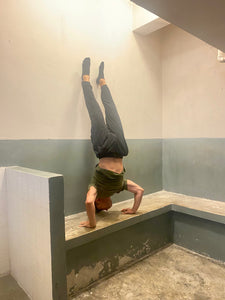 Personal Training 私人訓練：肌肉&力量訓練、體重管理、拉筋、痛症治療、倒立